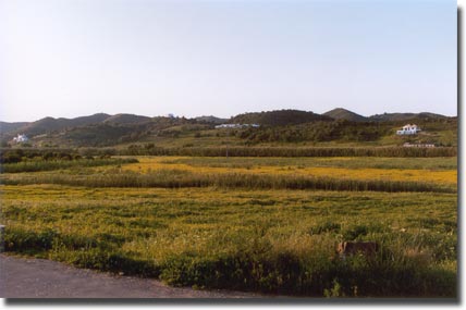 Clique para aumentar