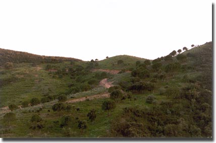 Clique para aumentar